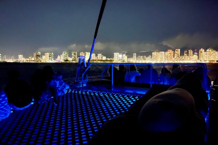 a bridge lit up at night