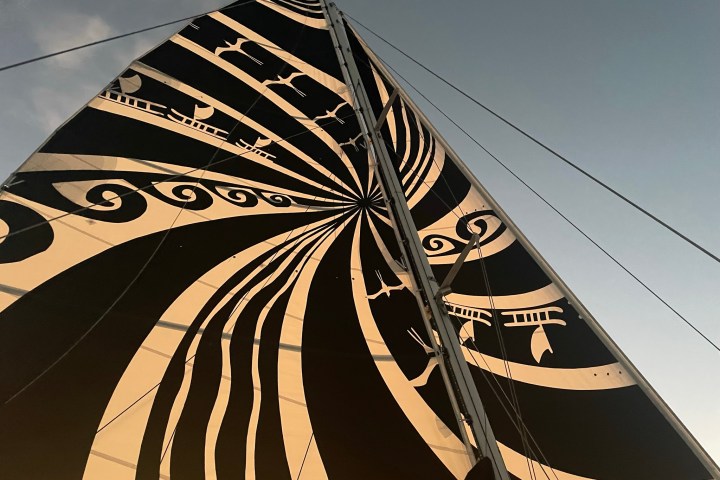 a close up of an umbrella