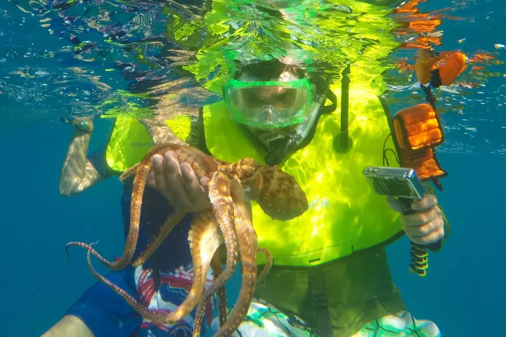 a person swimming in the water