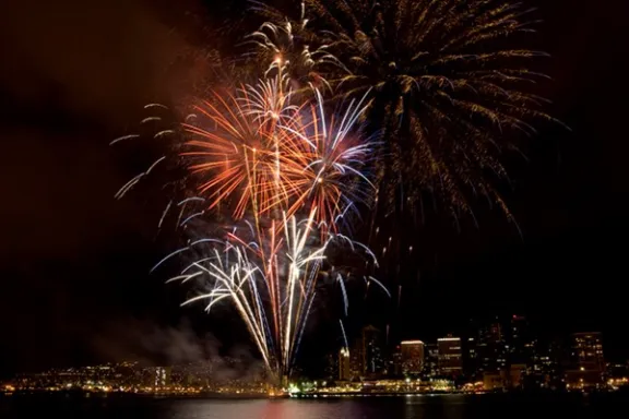 fireworks in the sky