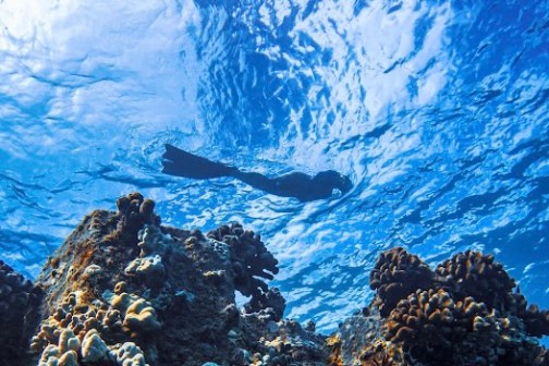 Person snorkeling over vibrant coral reef in clear blue water.